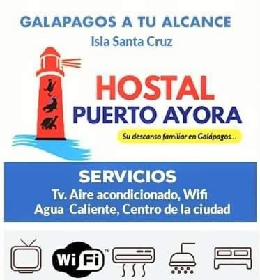 Puerto Ayora Island Hotel Kültér fotó